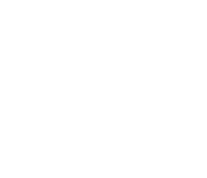 USDt.z Logo